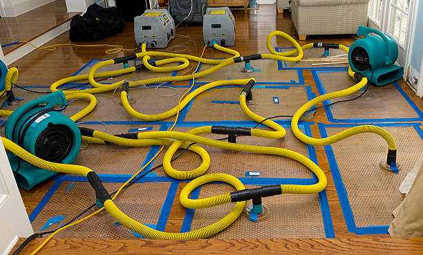 Professional Sewage Cleanup technician working in Caledonia, MN